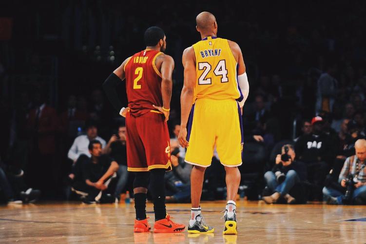 所需要的 所需要的