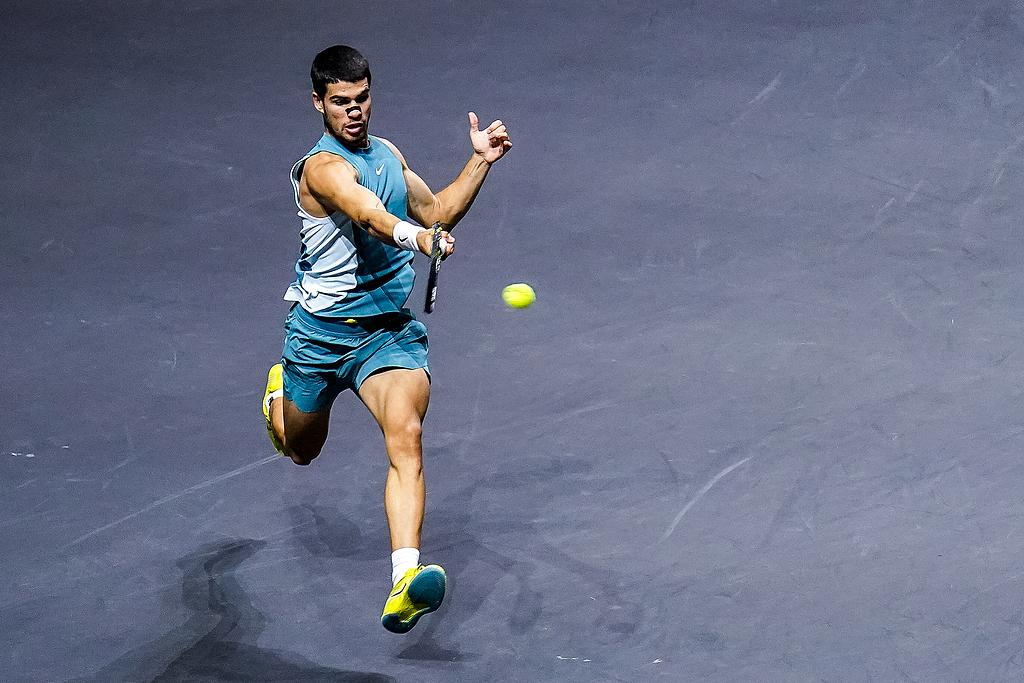 但凭借其扎 但凭借其扎