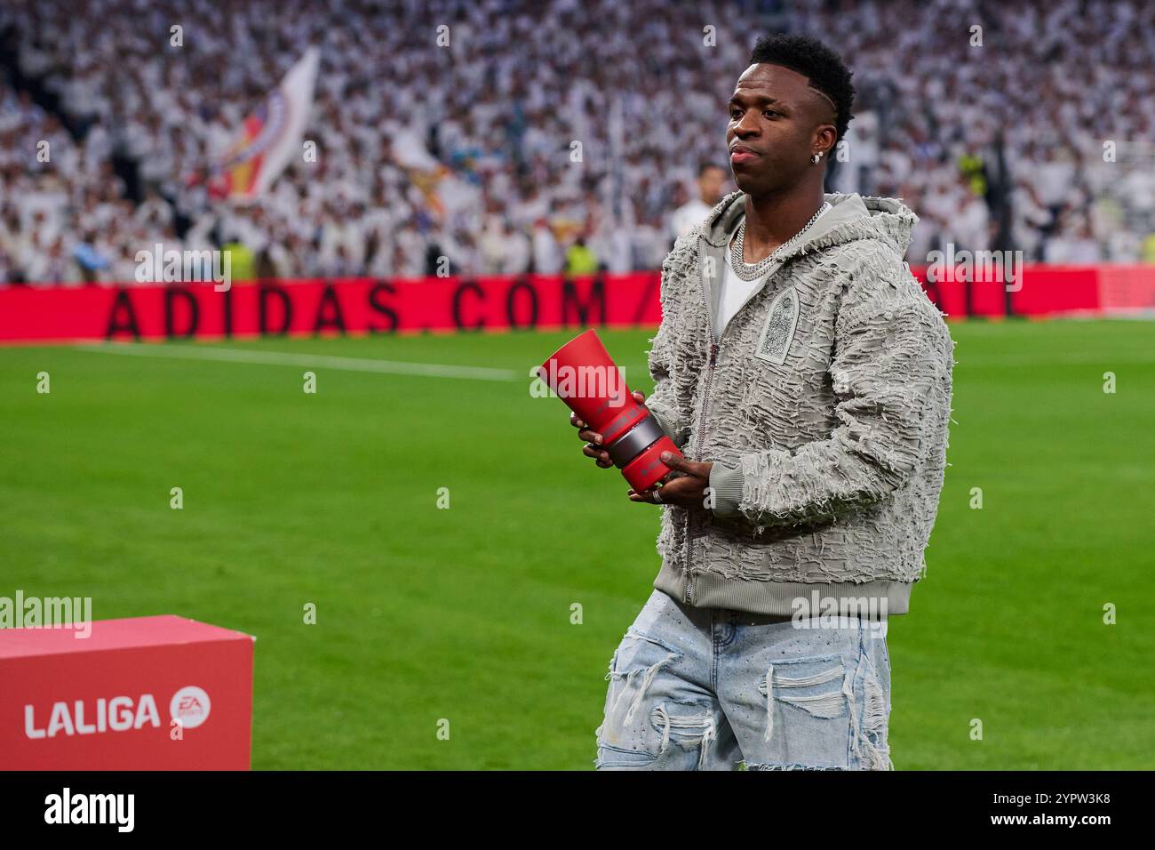 挖掘本土年 挖掘本土年