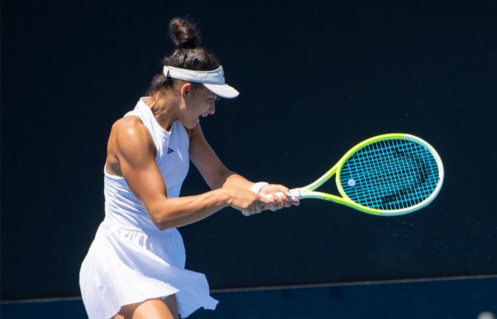 歸化球員的 歸化球員的